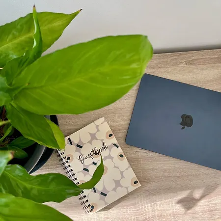 Designin Golden In The Center - Near Saerkaenniemi