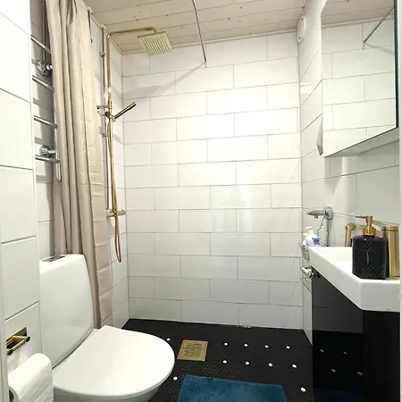 Designin Golden In The Center - Near Saerkaenniemi *